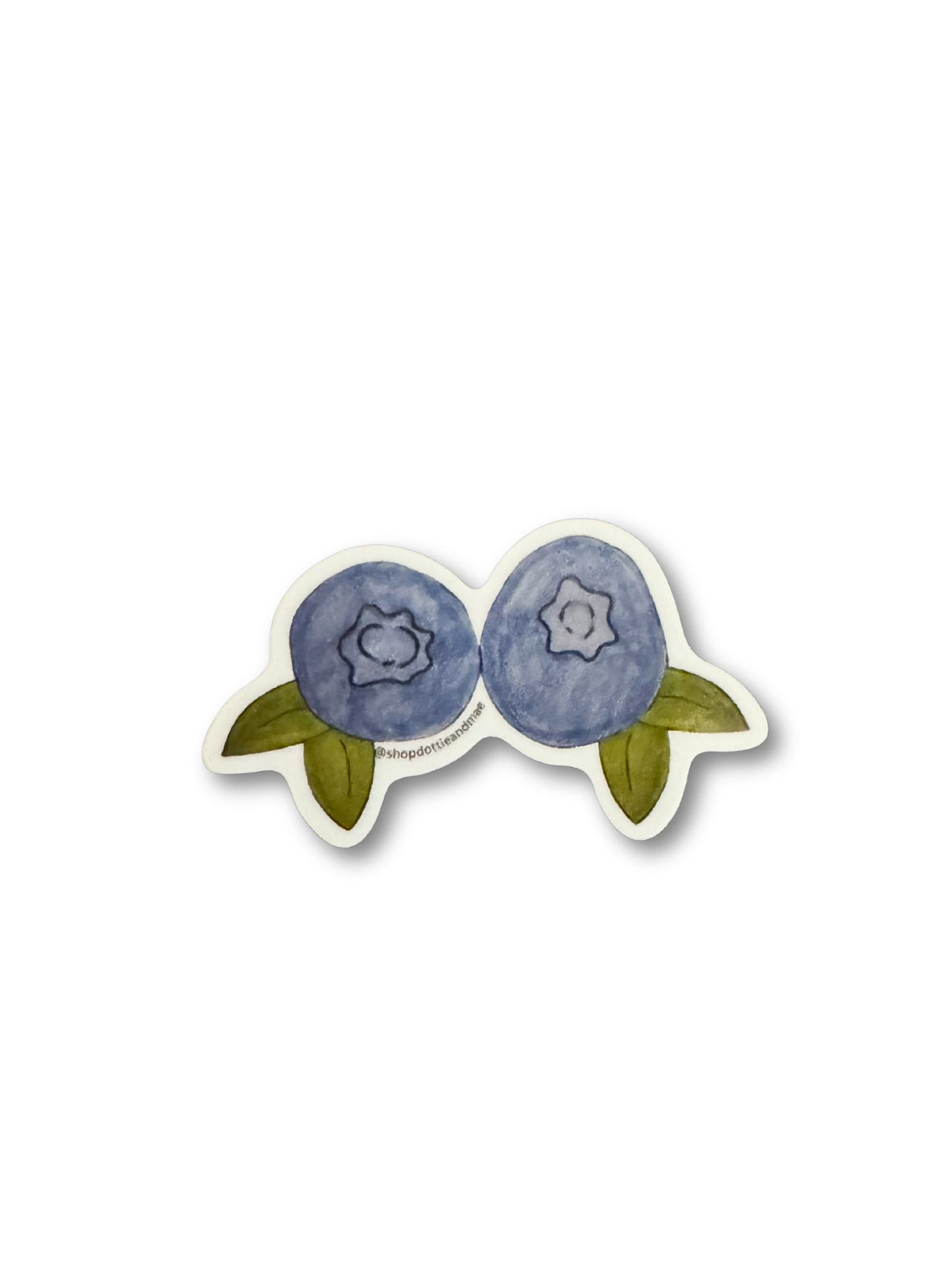 Bold Blueberries Mini Sticker